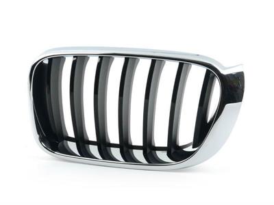 GRIGLIA A/SX CROM-NERA BMW X4 F26-X3 F25 01/14> BASIS
