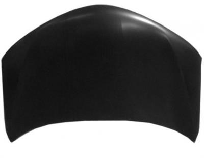COFANO ANT TOYOTA RAV 4 01/13>