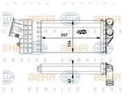 RAD RISCALD CITROEN C4