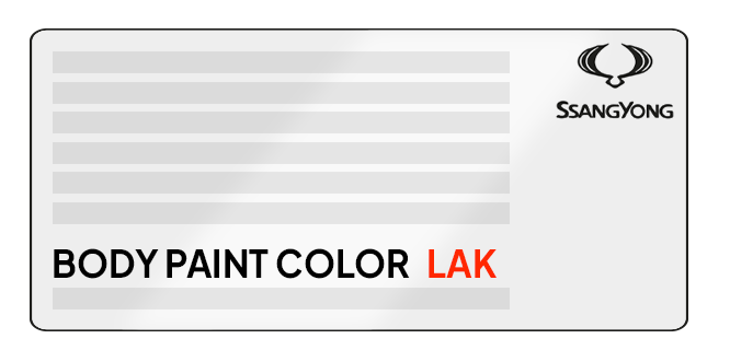 carpoint-professional-repair-codice-colore-SSANGYONG